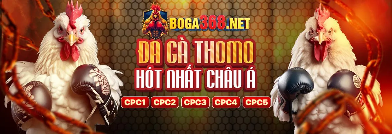 Lịch sử phát triển của Winbet tại thị trường Việt Nam